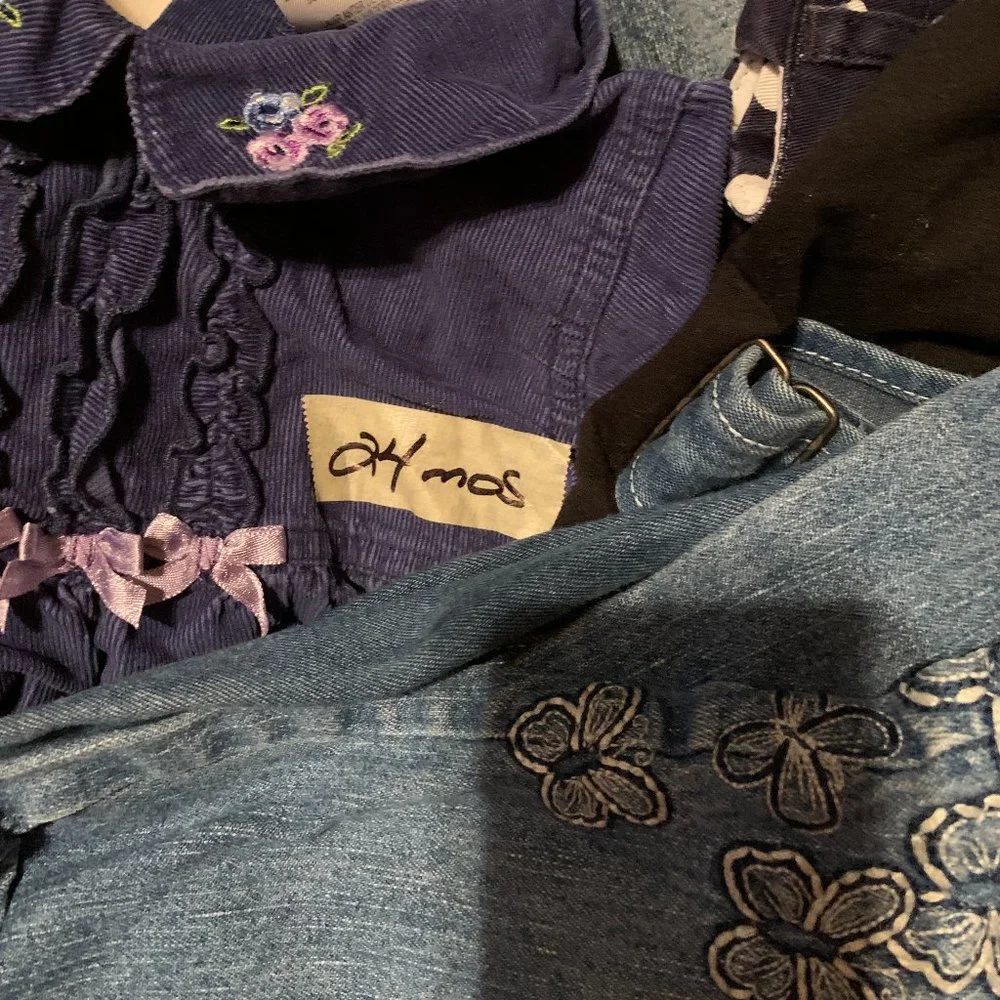 A lot 10 Piece SZ 0-24M Baby Girls Seasonal Clothing Bundle - Picture 2 of 9